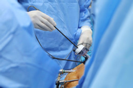 Cô giáo hiến gan cứu chồng mắc ung thư